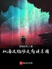 从选秀节目开始