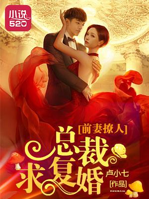 前妻撩人总裁求复婚短剧免费观看