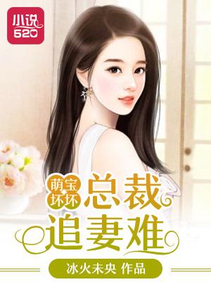 萌宝1 1总裁追妻有点忙