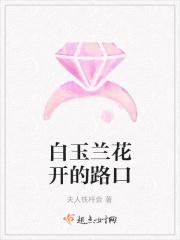白玉兰开在哪里