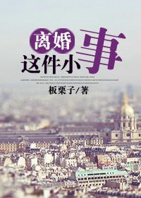 离婚这件小事书包网