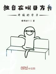 明日方舟独享记录