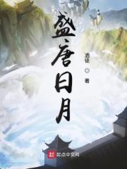盛唐日月写完了吗