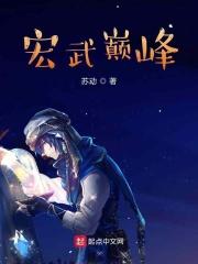 巅峰宏图笔趣阁全集