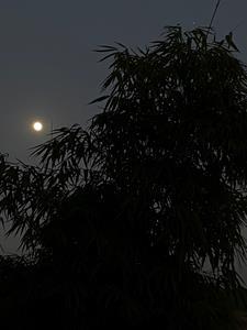 替嫁庶子笔趣阁