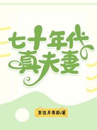 七十年代真夫妻全文免费阅读