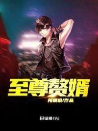至尊赘婿有声