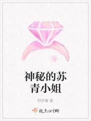 有一部的主角名字叫苏青