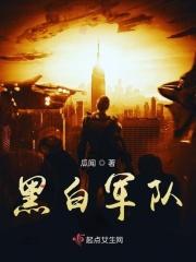 电视剧黑白军旗