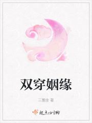 双扇姻缘电视剧免费播放