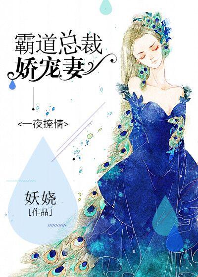 霸道总裁一夜情电视剧