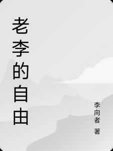 老李的无