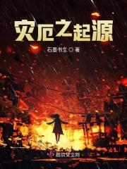 灾厄启示录章节
