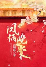 凤栖梧作品集