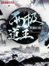 两极的极是什么意思