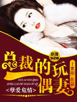 总裁的玩具