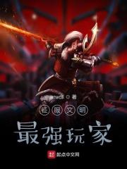 征服者与文明好玩吗