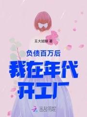 负债百万穿越全集