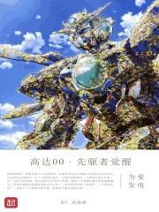 高达00先驱者的觉醒4k