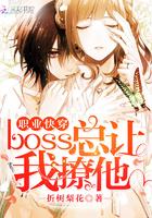 职业快穿boss总让我撩他txtepub