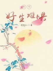 哥哥好难追下联