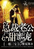 总裁老公甜蜜宠(紫夏沐)