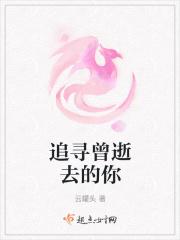 追寻逝去的时间