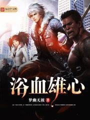 浴血英豪简介