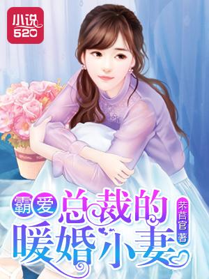霸道总裁的暖婚