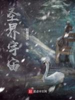圣位宇宙