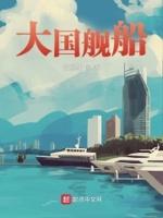 大国舰船李念最新章节更新情况
