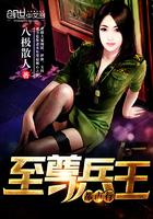 至尊兵王全集免费