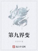 第九轮回