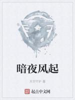 暗夜起舞