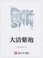 清朝紫色龙袍