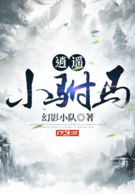 逍遥小驸马秦风