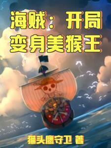 海贼之变身娜美