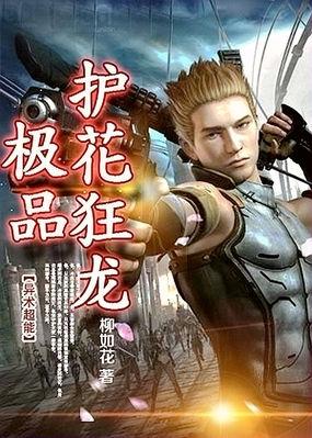 护花狂龙免费阅读全文