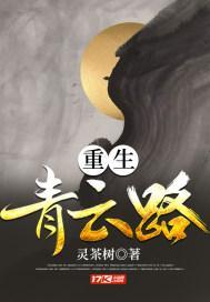 重生青云直上张青云
