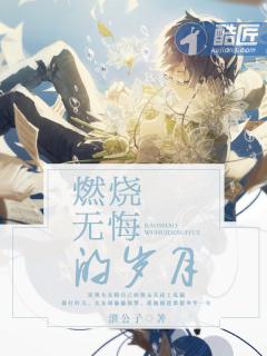 燃烧的岁月是什么意思
