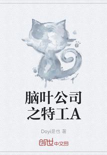 脑叶公司T04112