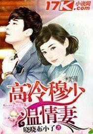 慕少情缠高冷妻无弹窗
