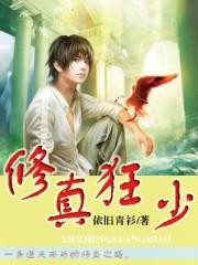 修真狂少叶辰