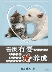 吾家有妻娇养成免费男尊女贵