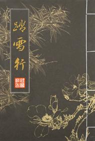 踏雪真人新书
