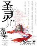 圣医是什么