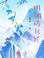明代老砖