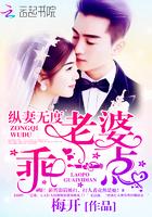 纵妻无度老婆乖一点最新章节列表