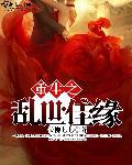 重生之乱试佳人