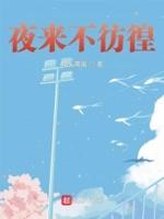 不失光明如何理解